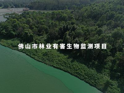 佛山市林業(yè)有害生物監(jiān)測項目